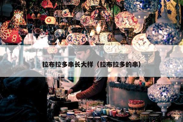 拉布拉多串长大样（拉布拉多的串）