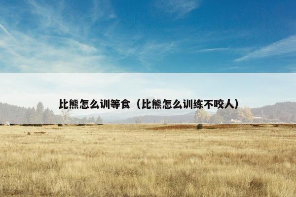 比熊怎么训等食（比熊怎么训练不咬人）