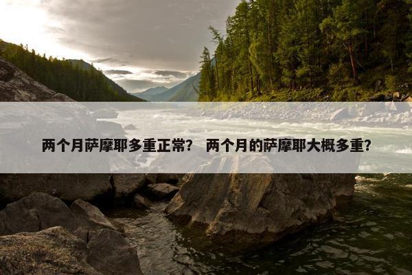 两个月萨摩耶多重正常？ 两个月的萨摩耶大概多重？