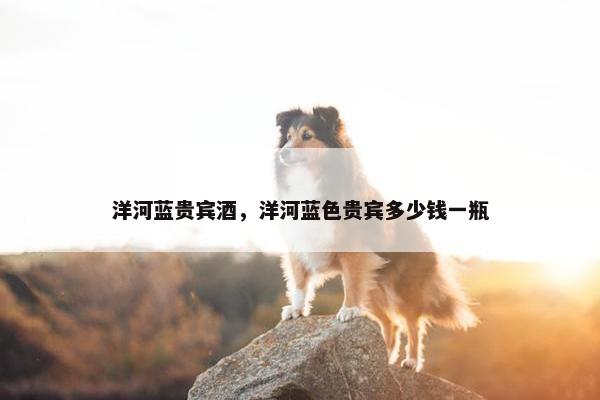 洋河蓝贵宾酒，洋河蓝色贵宾多少钱一瓶