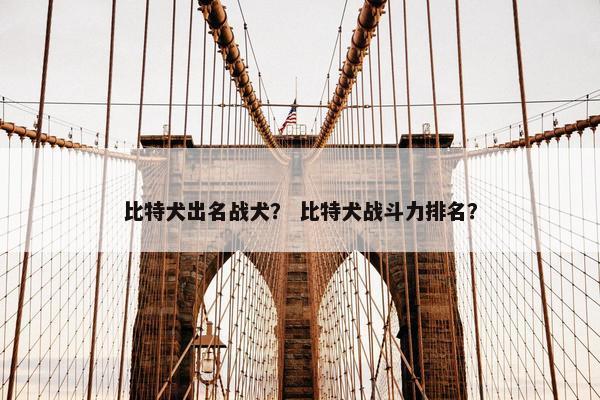 比特犬出名战犬？ 比特犬战斗力排名？