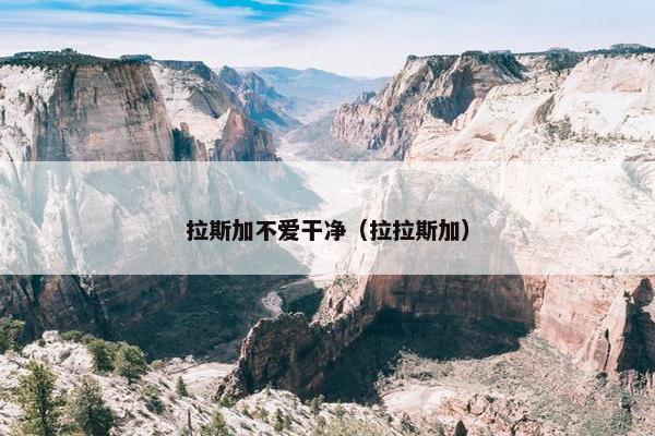 拉斯加不爱干净（拉拉斯加）