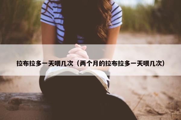 拉布拉多一天喂几次（两个月的拉布拉多一天喂几次）