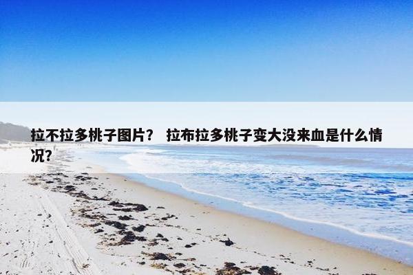 拉不拉多桃子图片？ 拉布拉多桃子变大没来血是什么情况？