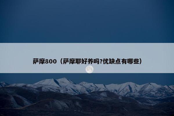 萨摩800（萨摩耶好养吗?优缺点有哪些）