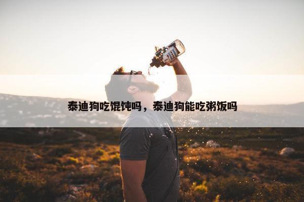 泰迪狗吃馄饨吗，泰迪狗能吃粥饭吗