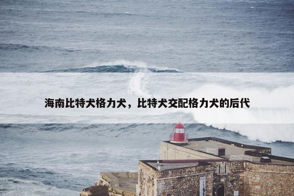 海南比特犬格力犬，比特犬交配格力犬的后代