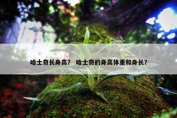 哈士奇长身高？ 哈士奇的身高体重和身长？