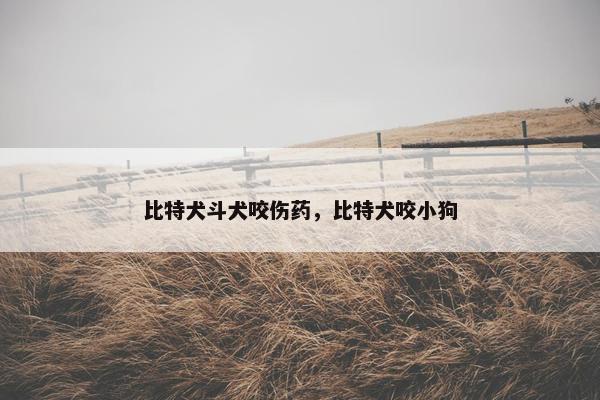 比特犬斗犬咬伤药，比特犬咬小狗