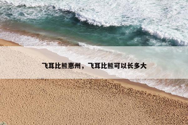飞耳比熊惠州，飞耳比熊可以长多大