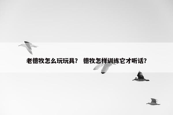 老德牧怎么玩玩具？ 德牧怎样训练它才听话？