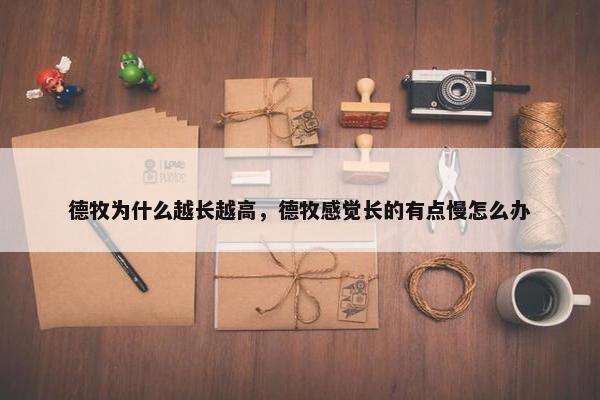 德牧为什么越长越高，德牧感觉长的有点慢怎么办
