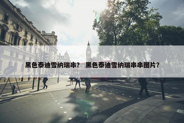 黑色泰迪雪纳瑞串？ 黑色泰迪雪纳瑞串串图片？