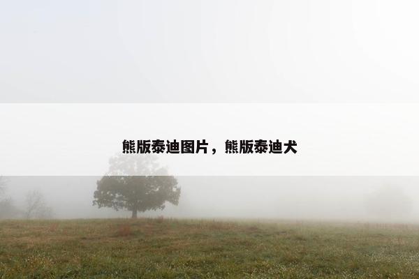熊版泰迪图片，熊版泰迪犬