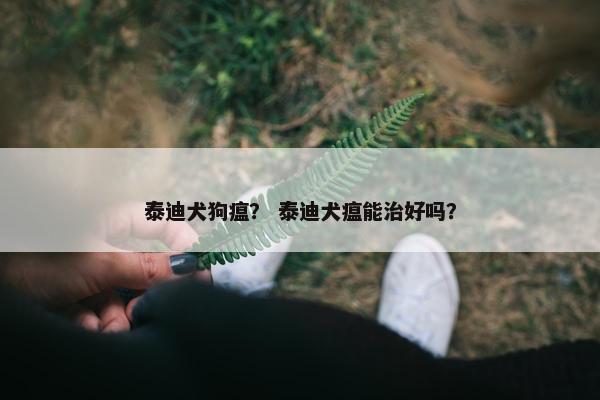 泰迪犬狗瘟？ 泰迪犬瘟能治好吗？