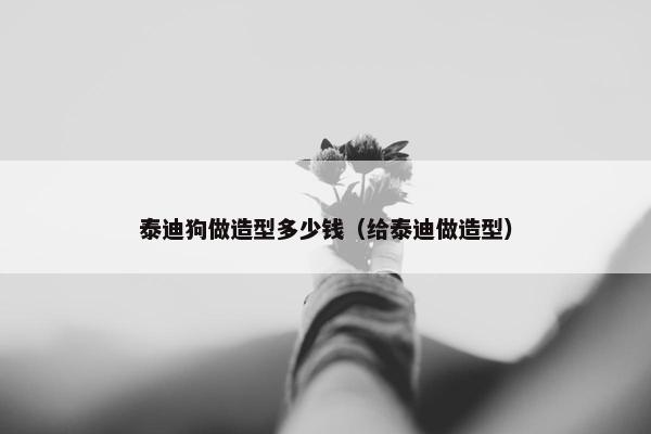 泰迪狗做造型多少钱（给泰迪做造型）