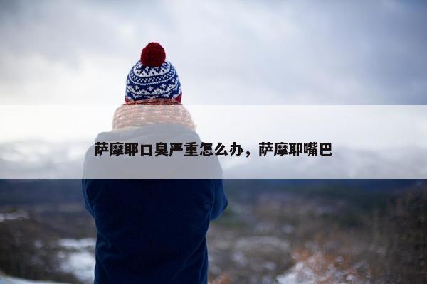 萨摩耶口臭严重怎么办，萨摩耶嘴巴