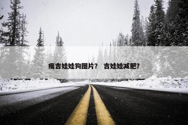 瘦吉娃娃狗图片？ 吉娃娃减肥？