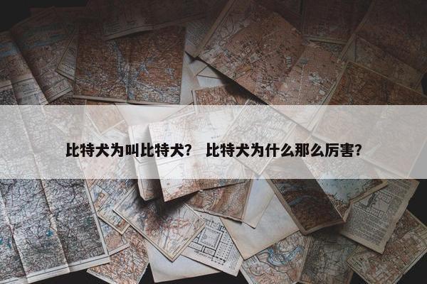 比特犬为叫比特犬？ 比特犬为什么那么厉害？