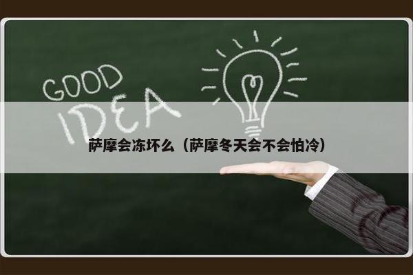 萨摩会冻坏么（萨摩冬天会不会怕冷）