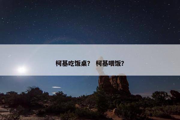 柯基吃饭桌？ 柯基喂饭？