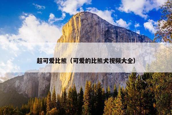 超可爱比熊（可爱的比熊犬视频大全）