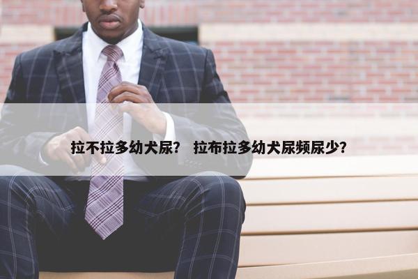 拉不拉多幼犬尿？ 拉布拉多幼犬尿频尿少？