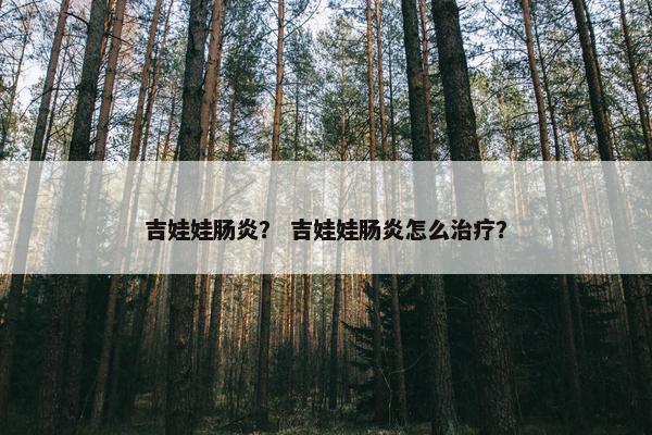 吉娃娃肠炎？ 吉娃娃肠炎怎么治疗？