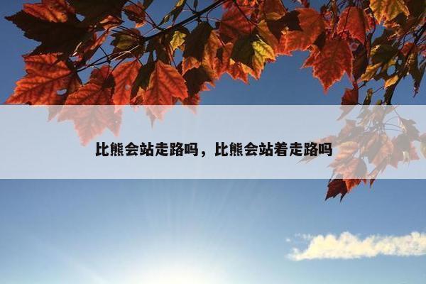 比熊会站走路吗，比熊会站着走路吗