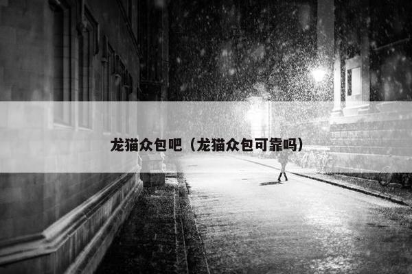 龙猫众包吧（龙猫众包可靠吗）