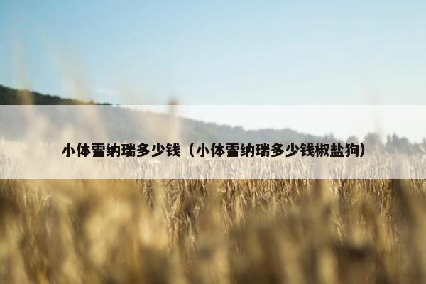 小体雪纳瑞多少钱（小体雪纳瑞多少钱椒盐狗）