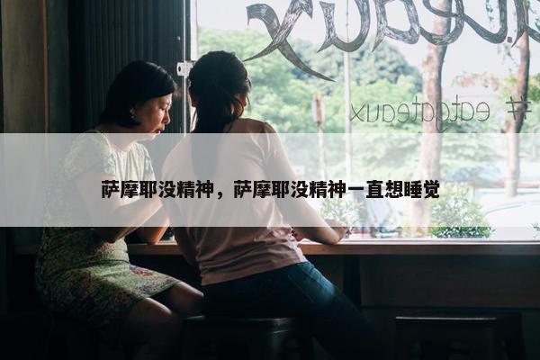 萨摩耶没精神，萨摩耶没精神一直想睡觉
