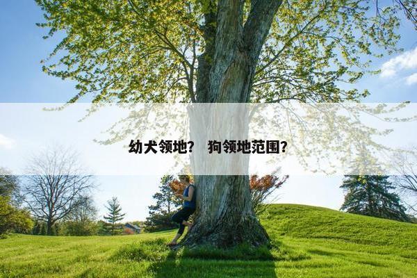 幼犬领地？ 狗领地范围？