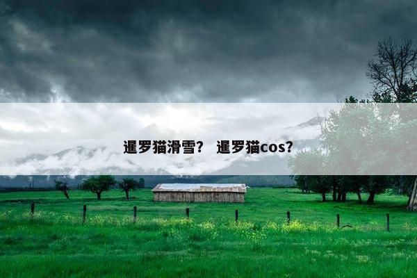 暹罗猫滑雪？ 暹罗猫cos？