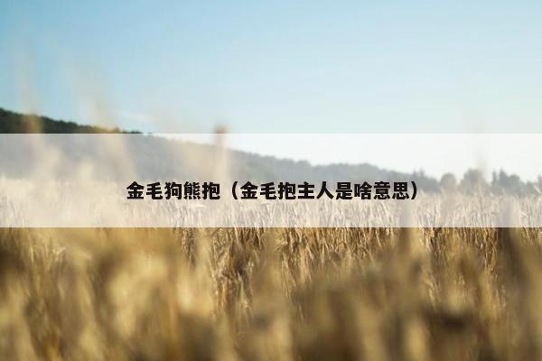 金毛狗熊抱（金毛抱主人是啥意思）