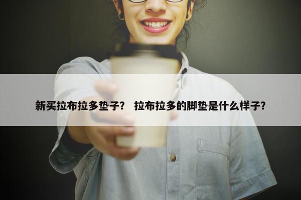 新买拉布拉多垫子？ 拉布拉多的脚垫是什么样子？