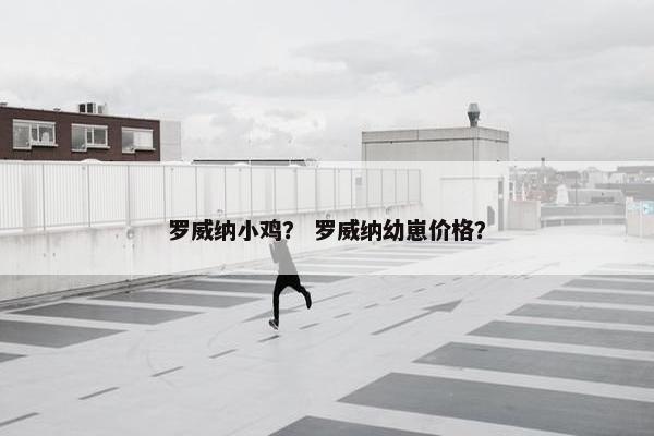 罗威纳小鸡？ 罗威纳幼崽价格？