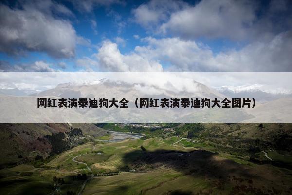 网红表演泰迪狗大全（网红表演泰迪狗大全图片）