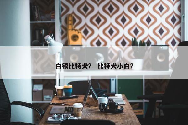 白银比特犬？ 比特犬小白？