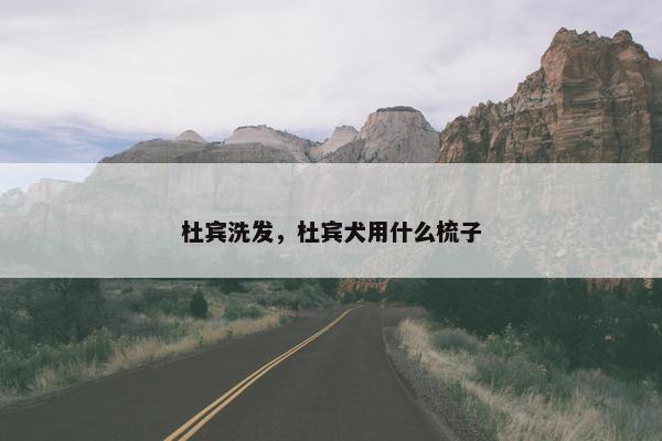 杜宾洗发，杜宾犬用什么梳子