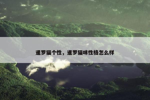 暹罗猫个性，暹罗猫咪性格怎么样