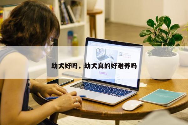 幼犬好吗，幼犬真的好难养吗