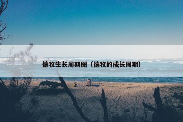 德牧生长周期图（德牧的成长周期）
