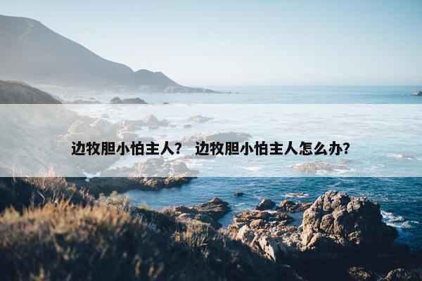 边牧胆小怕主人？ 边牧胆小怕主人怎么办？