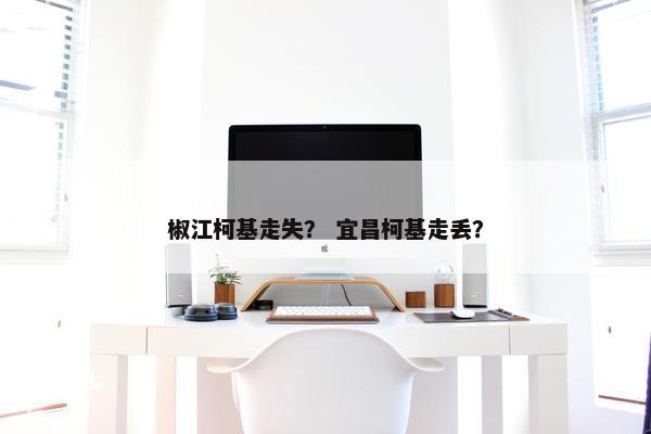 椒江柯基走失？ 宜昌柯基走丢？