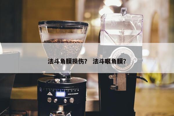 法斗角膜损伤？ 法斗眼角膜？