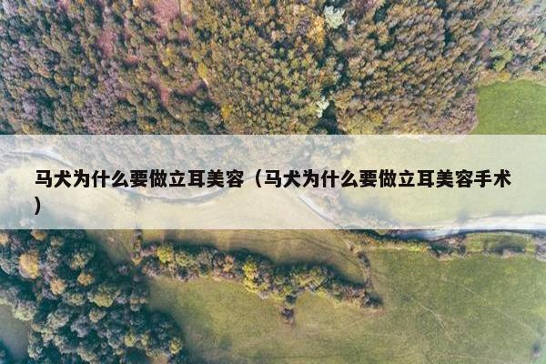 马犬为什么要做立耳美容（马犬为什么要做立耳美容手术）