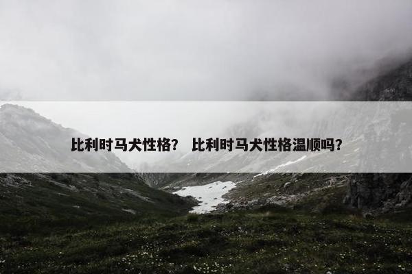 比利时马犬性格？ 比利时马犬性格温顺吗？