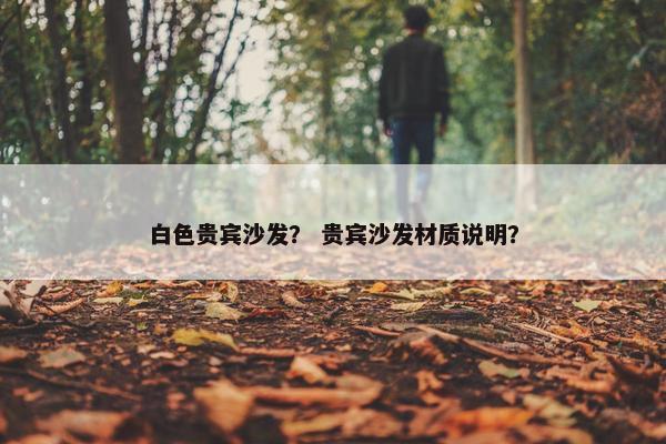 白色贵宾沙发？ 贵宾沙发材质说明？