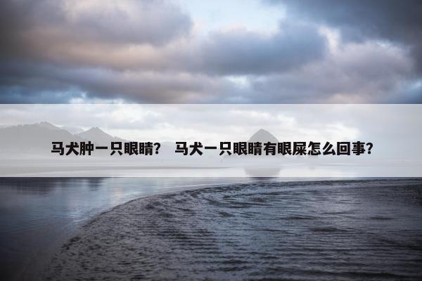 马犬肿一只眼睛？ 马犬一只眼睛有眼屎怎么回事？